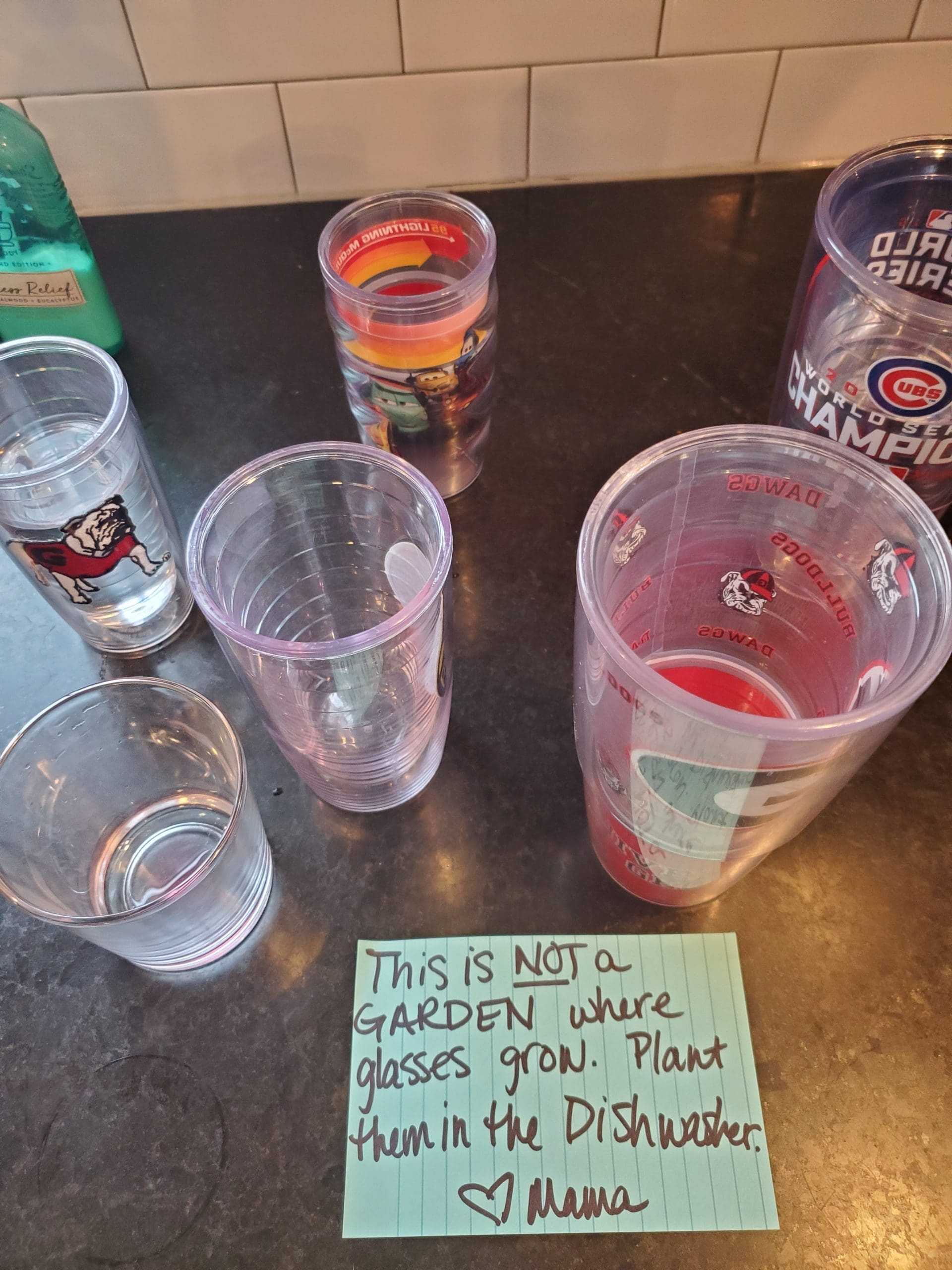 Glass garden by the sink