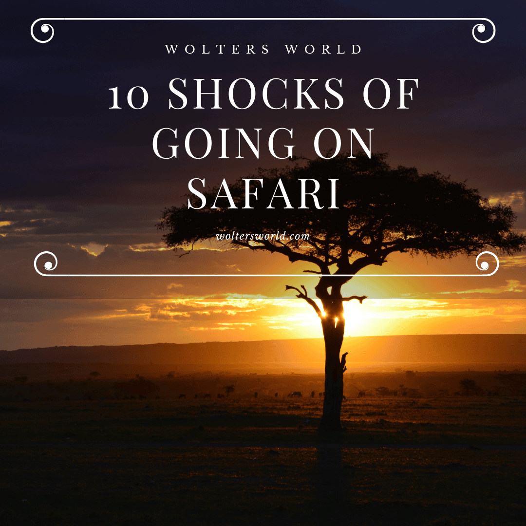 safari surprises
