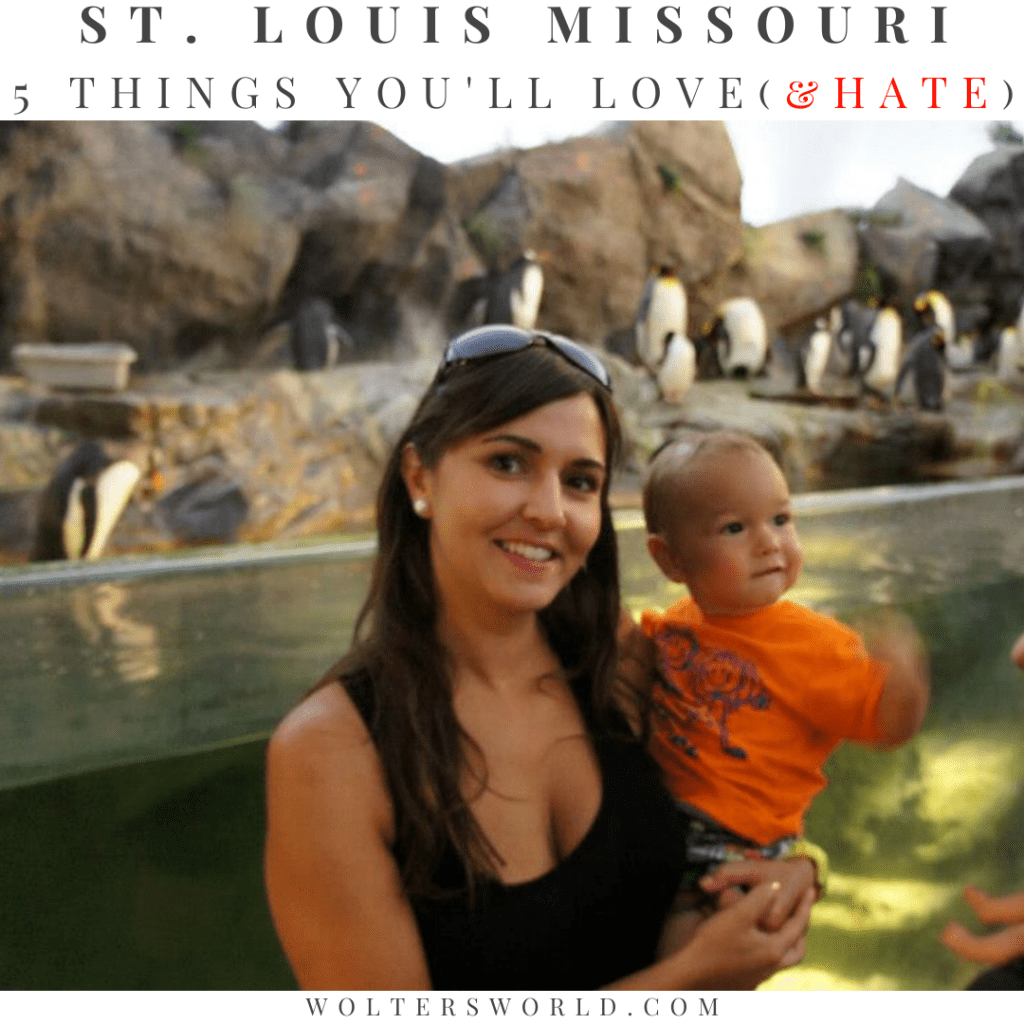 st louis zoo